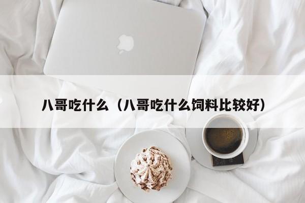 八哥吃什么（八哥吃什么饲料比较好）