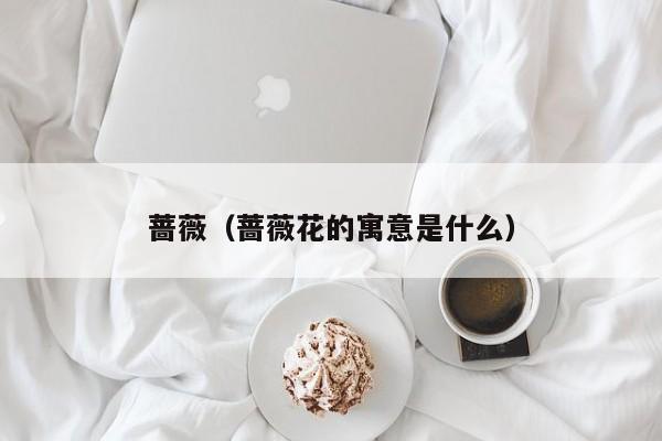 蔷薇（蔷薇花的寓意是什么）