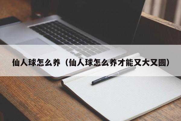 仙人球怎么养（仙人球怎么养才能又大又圆）