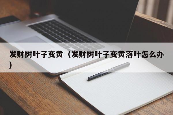 发财树叶子变黄（发财树叶子变黄落叶怎么办）