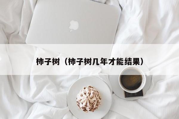 柿子树（柿子树几年才能结果）