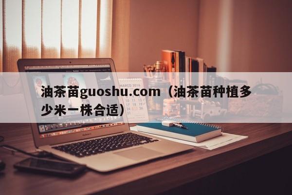 油茶苗guoshu.com（油茶苗种植多少米一株合适）