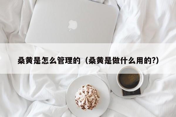 桑黄是怎么管理的（桑黄是做什么用的?）