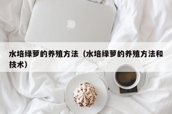 水培绿萝的养殖方法（水培绿萝的养殖方法和技术）