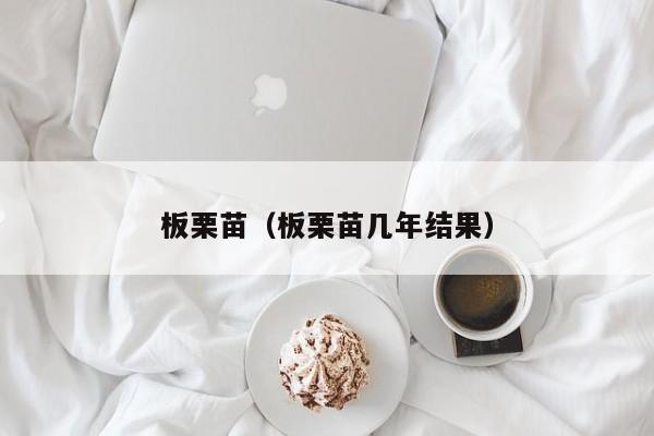 板栗苗（板栗苗几年结果）