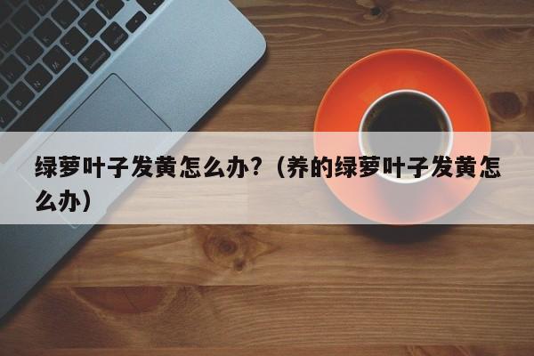 绿萝叶子发黄怎么办?（养的绿萝叶子发黄怎么办）