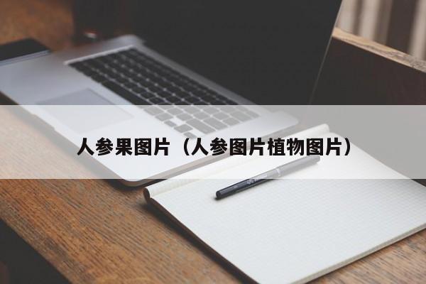 人参果图片（人参图片植物图片）