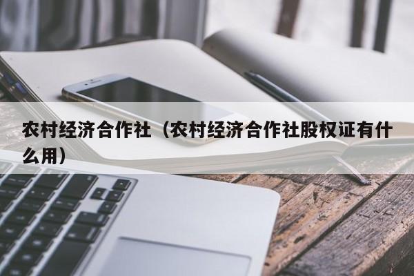 农村经济合作社（农村经济合作社股权证有什么用）