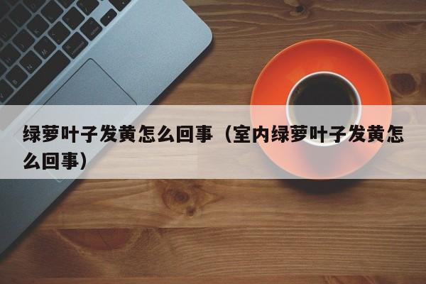 绿萝叶子发黄怎么回事（室内绿萝叶子发黄怎么回事）