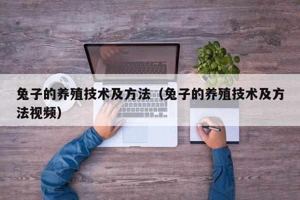 兔子的养殖技术及方法（兔子的养殖技术及方法视频）