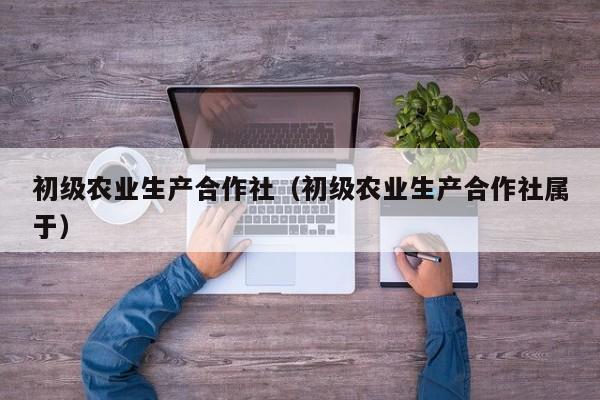 初级农业生产合作社（初级农业生产合作社属于）