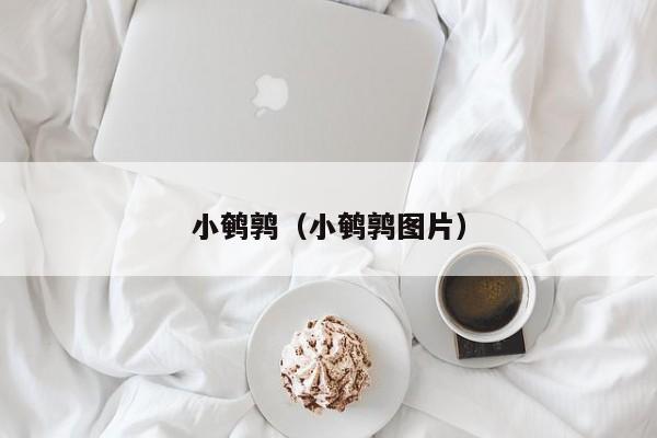 小鹌鹑（小鹌鹑图片）