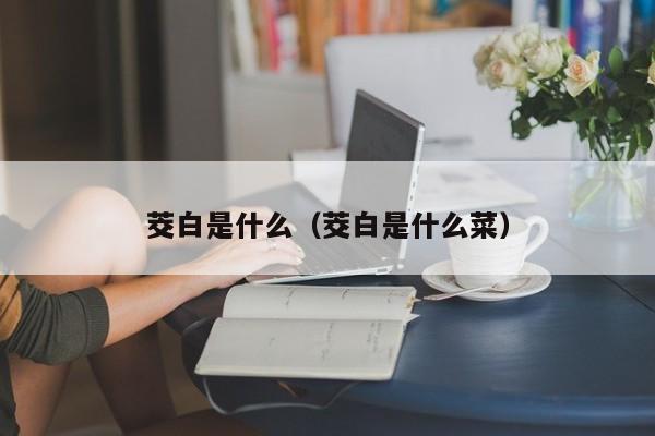 茭白是什么（茭白是什么菜）