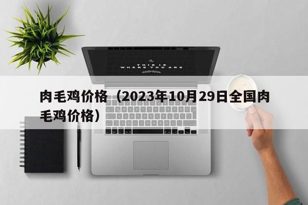 肉毛鸡价格（2023年10月29日全国肉毛鸡价格）