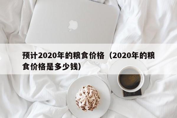 预计2020年的粮食价格（2020年的粮食价格是多少钱）