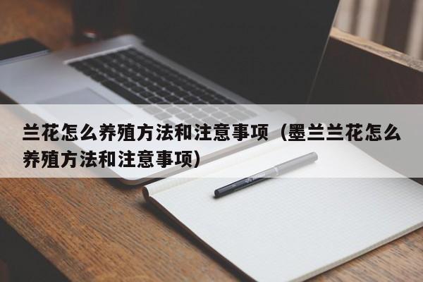 兰花怎么养殖方法和注意事项（墨兰兰花怎么养殖方法和注意事项）