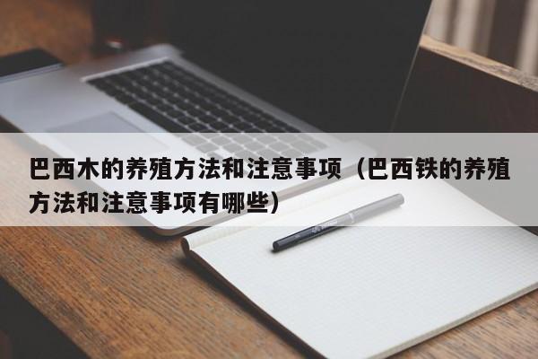 巴西木的养殖方法和注意事项（巴西铁的养殖方法和注意事项有哪些）