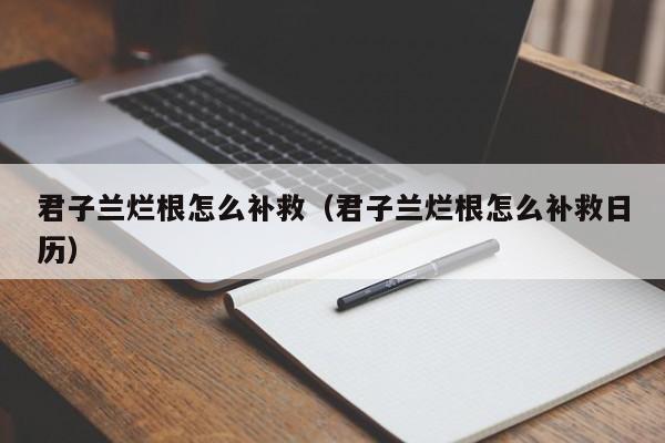 君子兰烂根怎么补救（君子兰烂根怎么补救日历）