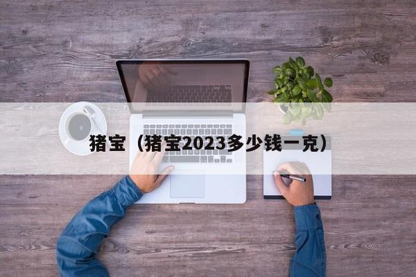 猪宝（猪宝2023多少钱一克）