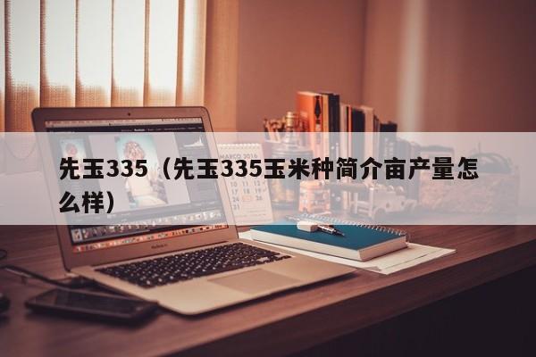 先玉335（先玉335玉米种简介亩产量怎么样）