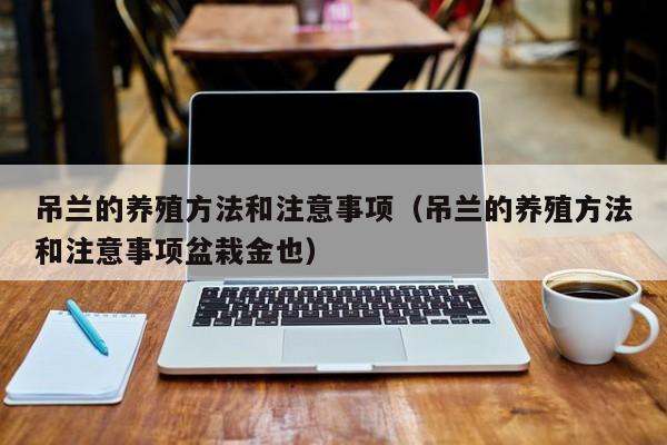 吊兰的养殖方法和注意事项（吊兰的养殖方法和注意事项盆栽金也）