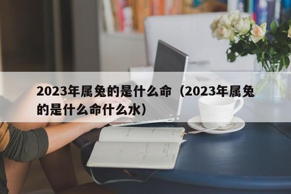 2023年属兔的是什么命（2023年属兔的是什么命什么水）