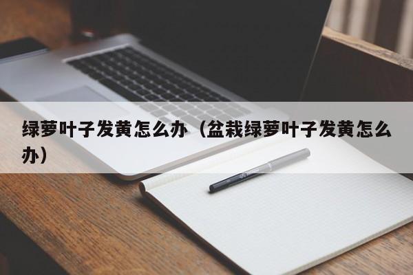 绿萝叶子发黄怎么办（盆栽绿萝叶子发黄怎么办）