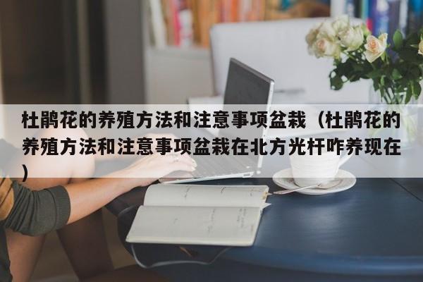 杜鹃花的养殖方法和注意事项盆栽（杜鹃花的养殖方法和注意事项盆栽在北方光杆咋养现在）