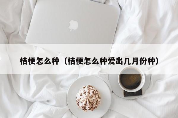 桔梗怎么种（桔梗怎么种爱出几月份种）