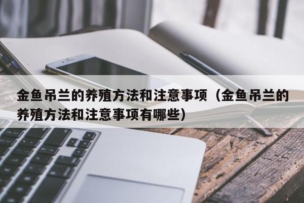 金鱼吊兰的养殖方法和注意事项（金鱼吊兰的养殖方法和注意事项有哪些）