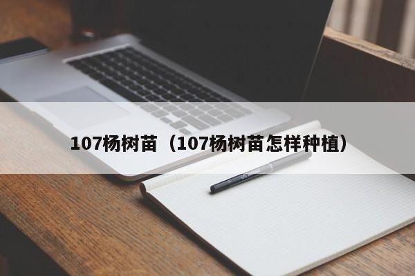 107杨树苗（107杨树苗怎样种植）