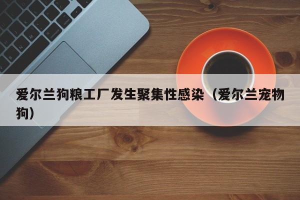 爱尔兰狗粮工厂发生聚集性感染（爱尔兰宠物狗）