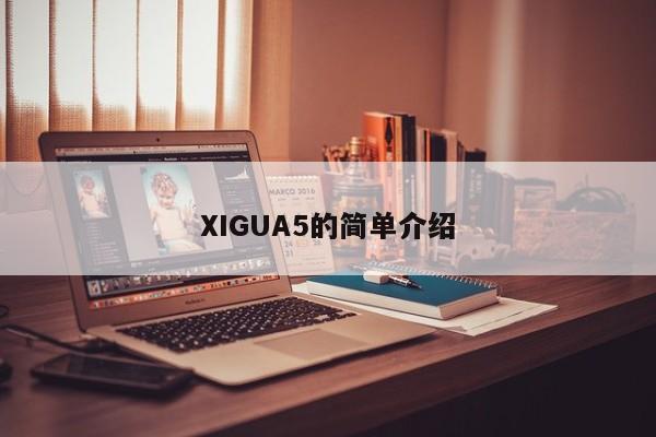 XIGUA5的简单介绍