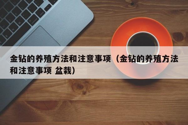 金钻的养殖方法和注意事项（金钻的养殖方法和注意事项 盆栽）