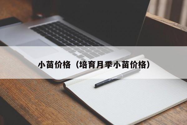 小苗价格（培育月季小苗价格）