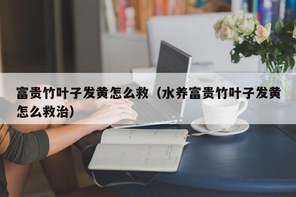 富贵竹叶子发黄怎么救（水养富贵竹叶子发黄怎么救治）