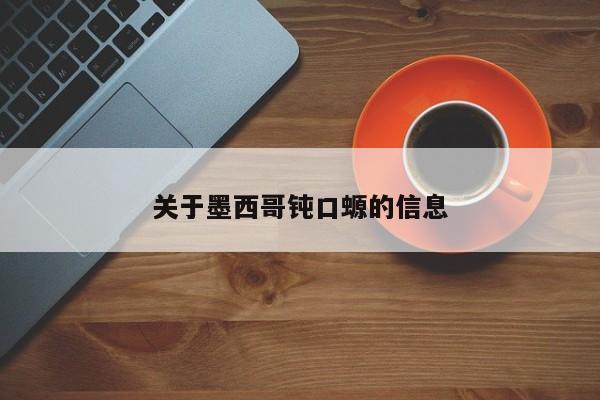 关于墨西哥钝口螈的信息