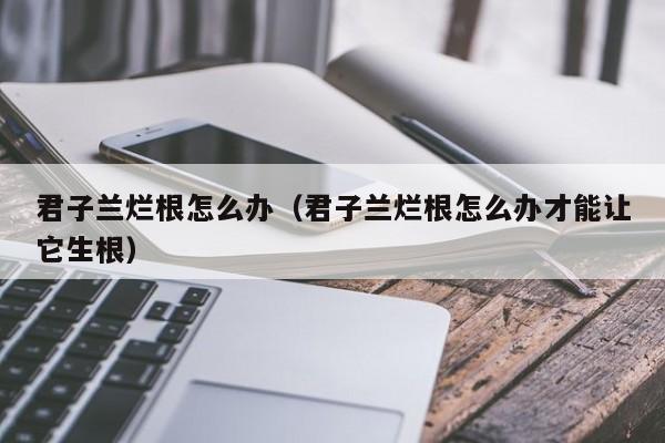 君子兰烂根怎么办（君子兰烂根怎么办才能让它生根）