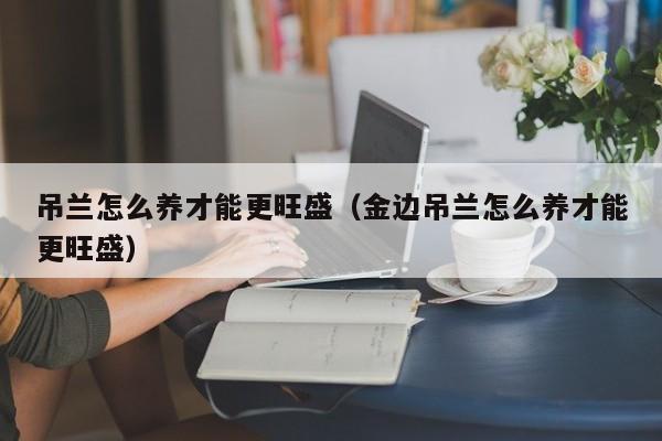 吊兰怎么养才能更旺盛（金边吊兰怎么养才能更旺盛）