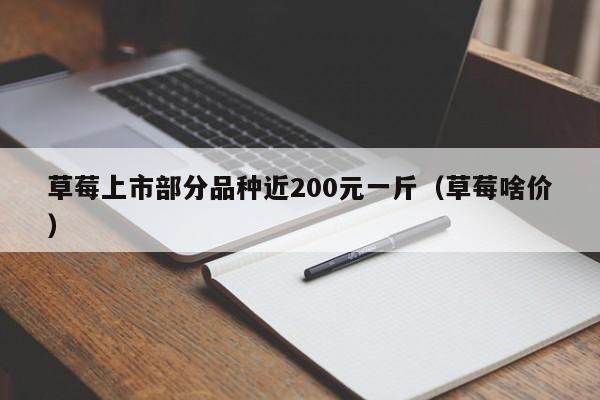 草莓上市部分品种近200元一斤（草莓啥价）