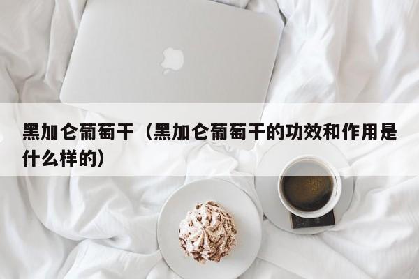 黑加仑葡萄干（黑加仑葡萄干的功效和作用是什么样的）