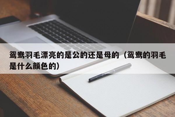 鸳鸯羽毛漂亮的是公的还是母的（鸳鸯的羽毛是什么颜色的）