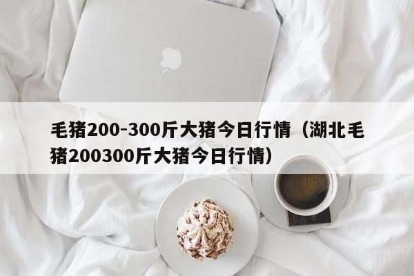 毛猪200-300斤大猪今日行情（湖北毛猪200300斤大猪今日行情）