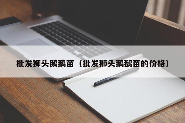 批发狮头鹅鹅苗（批发狮头鹅鹅苗的价格）