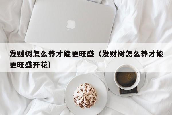 发财树怎么养才能更旺盛（发财树怎么养才能更旺盛开花）