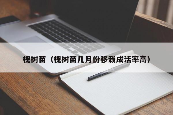 槐树苗（槐树苗几月份移栽成活率高）