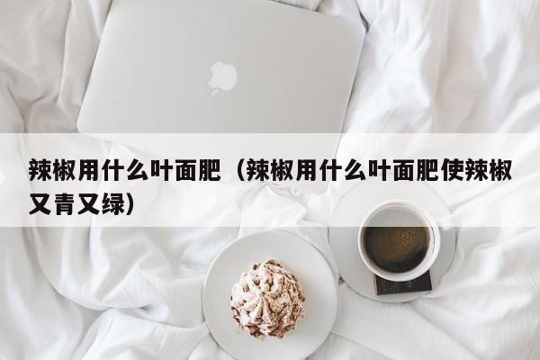 辣椒用什么叶面肥（辣椒用什么叶面肥使辣椒又青又绿）