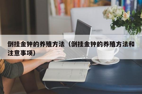 倒挂金钟的养殖方法（倒挂金钟的养殖方法和注意事项）