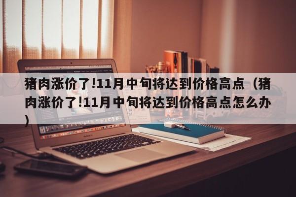 猪肉涨价了!11月中旬将达到价格高点（猪肉涨价了!11月中旬将达到价格高点怎么办）