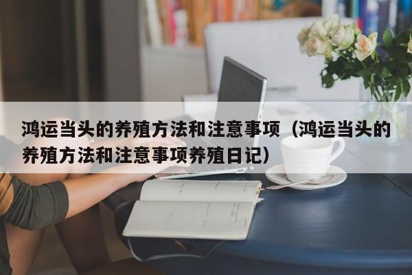 鸿运当头的养殖方法和注意事项（鸿运当头的养殖方法和注意事项养殖日记）